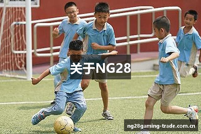 关于NG28